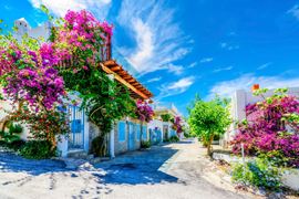 Europe Holidays - Turkey Holidays, Bodrum - flower surrounded old street