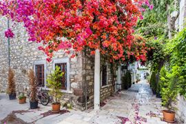 Europe Holidays - Turkey Holidays, Bodrum - beautiful old cobalt street surrounded with flowers