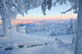 Europe Holidays - Finland, Lapland - sunny shine over snow covered hills