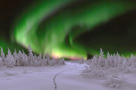 Europe Holidays - Finland, Lapland - Footprints in the Snow uner northern lights