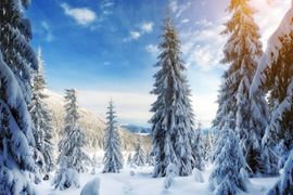Europe Holidays - Finland, Lapland - Snowy Landscape Pictures