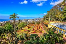 Portugal, Madeira - Funchal landmarl - Awesome botanical-garden