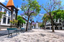 Portugal, Madeira - sunny walkaway towards city square