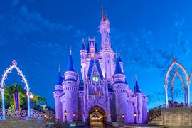 Walt Disney World Park Cinderella Castle