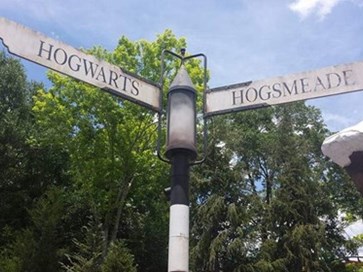 Stepping into the magical world of Harry Potter